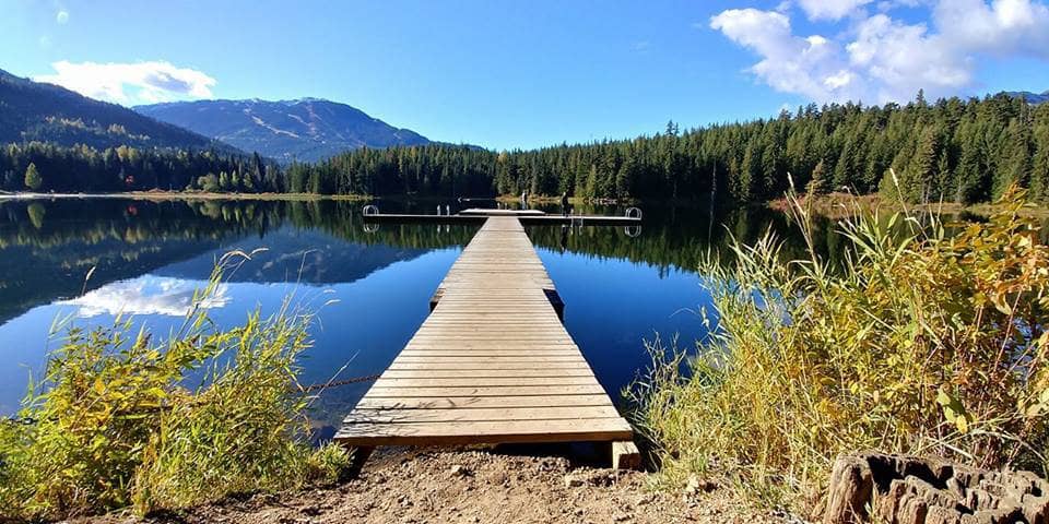 Old Growth Boardwalk Trail