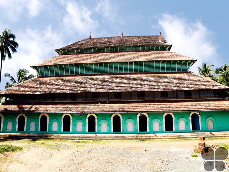 Front View