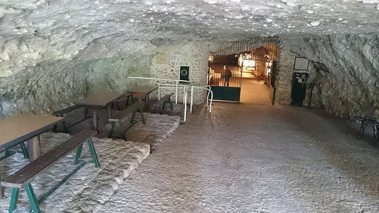 Prehistoric Art Gallery