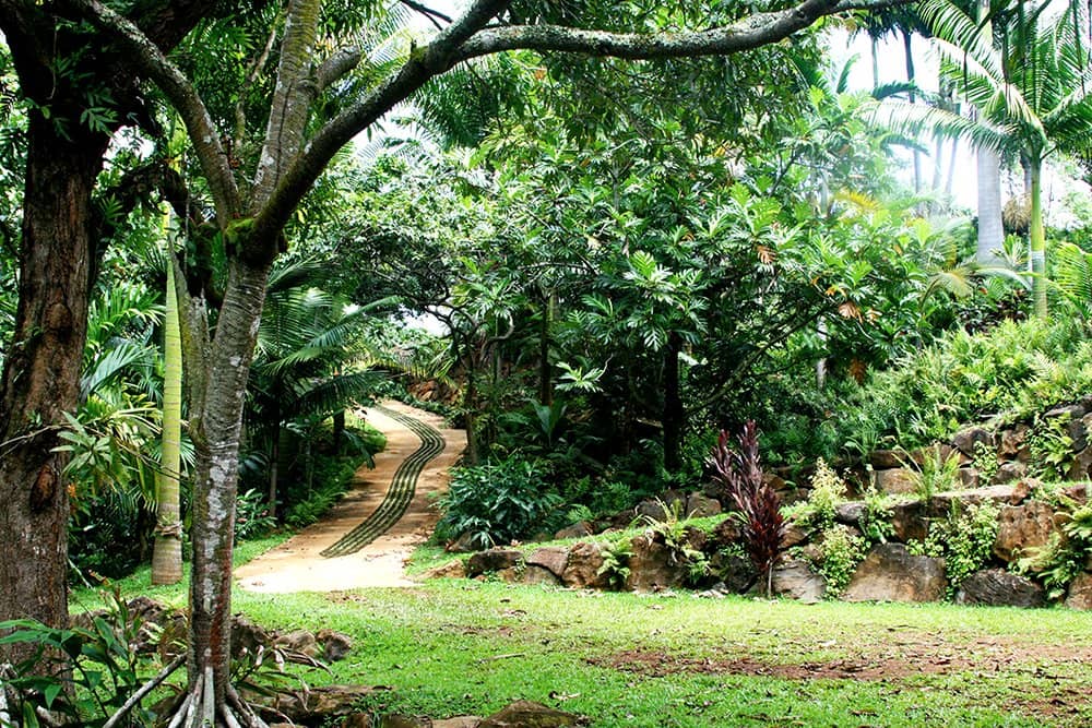 Educational Garden Tour