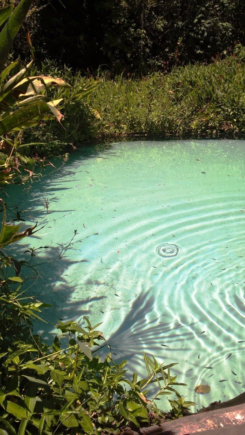 Círculos que o fervedouro forma pela pressão que sai a água da nascente