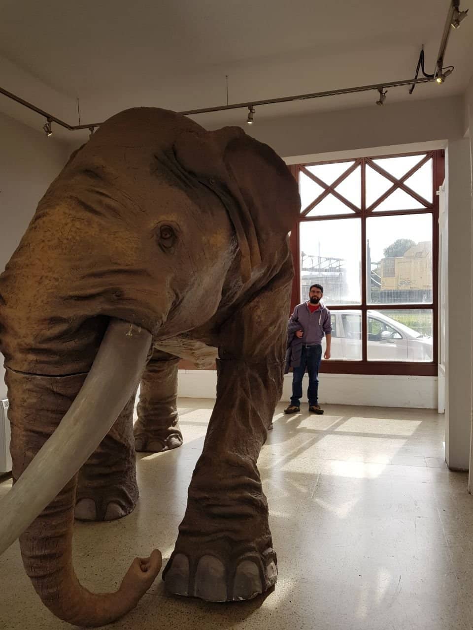 Regional History Exhibits
