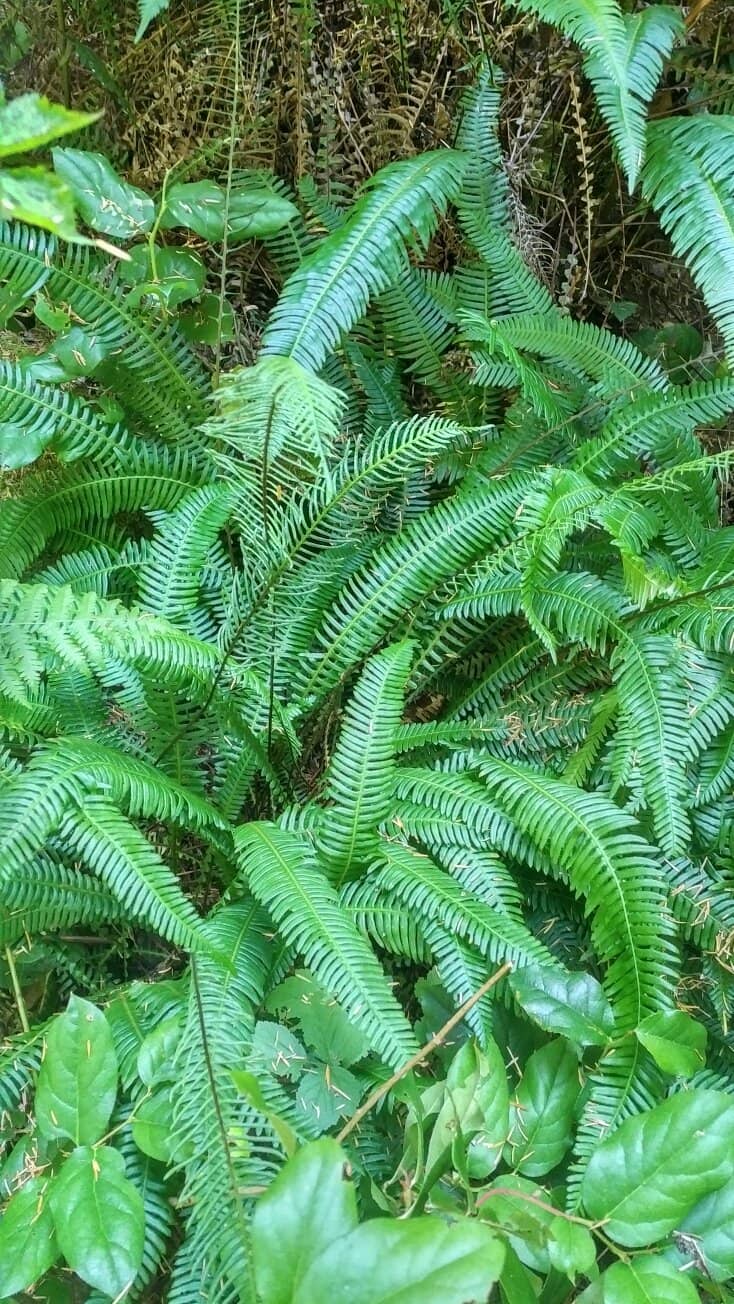 Extensive Trail Network