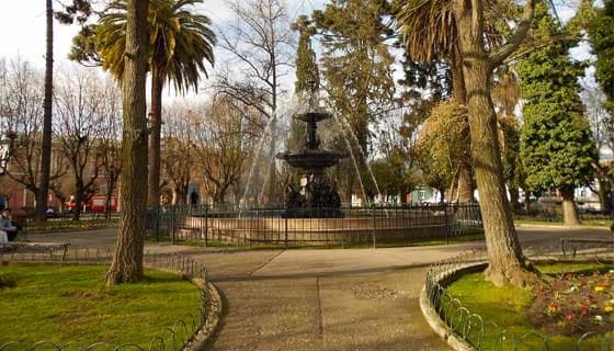 Areas verdes