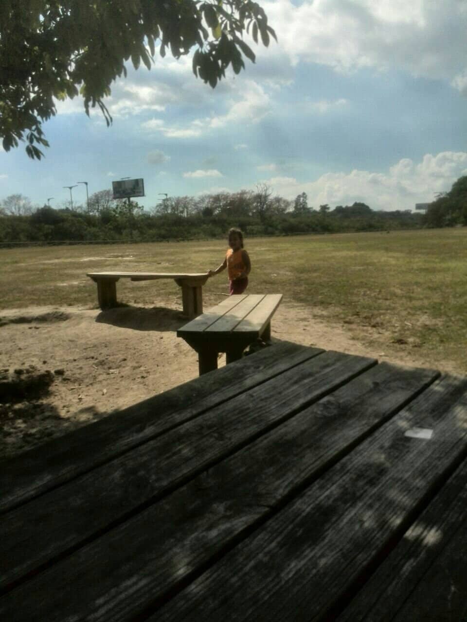 Shaded Running & Walking Trails