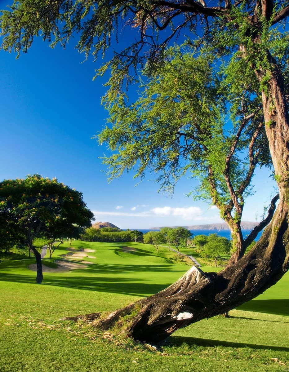 Challenging Bunker Play