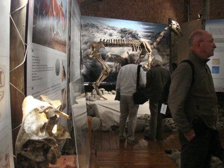 Native Inhabitants Focus