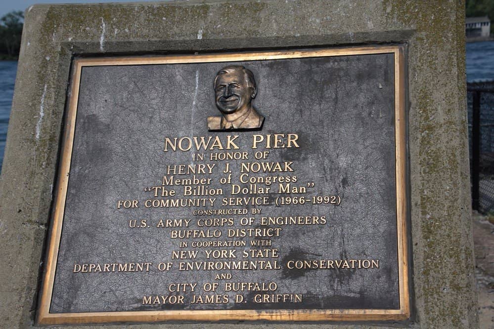 Flamingo Invasion Spectacle