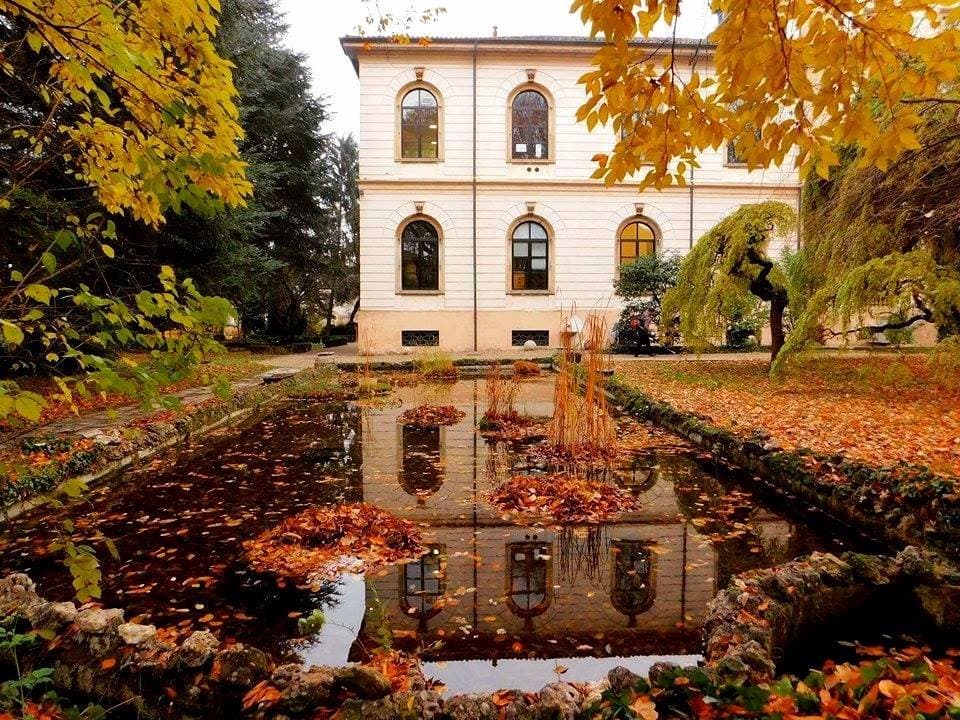 Riflessi autunnali all'Orto Botanico