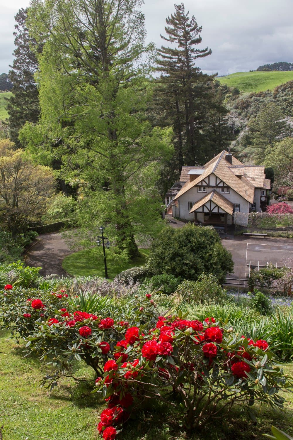Tupare house with Rhododendron Rubicon