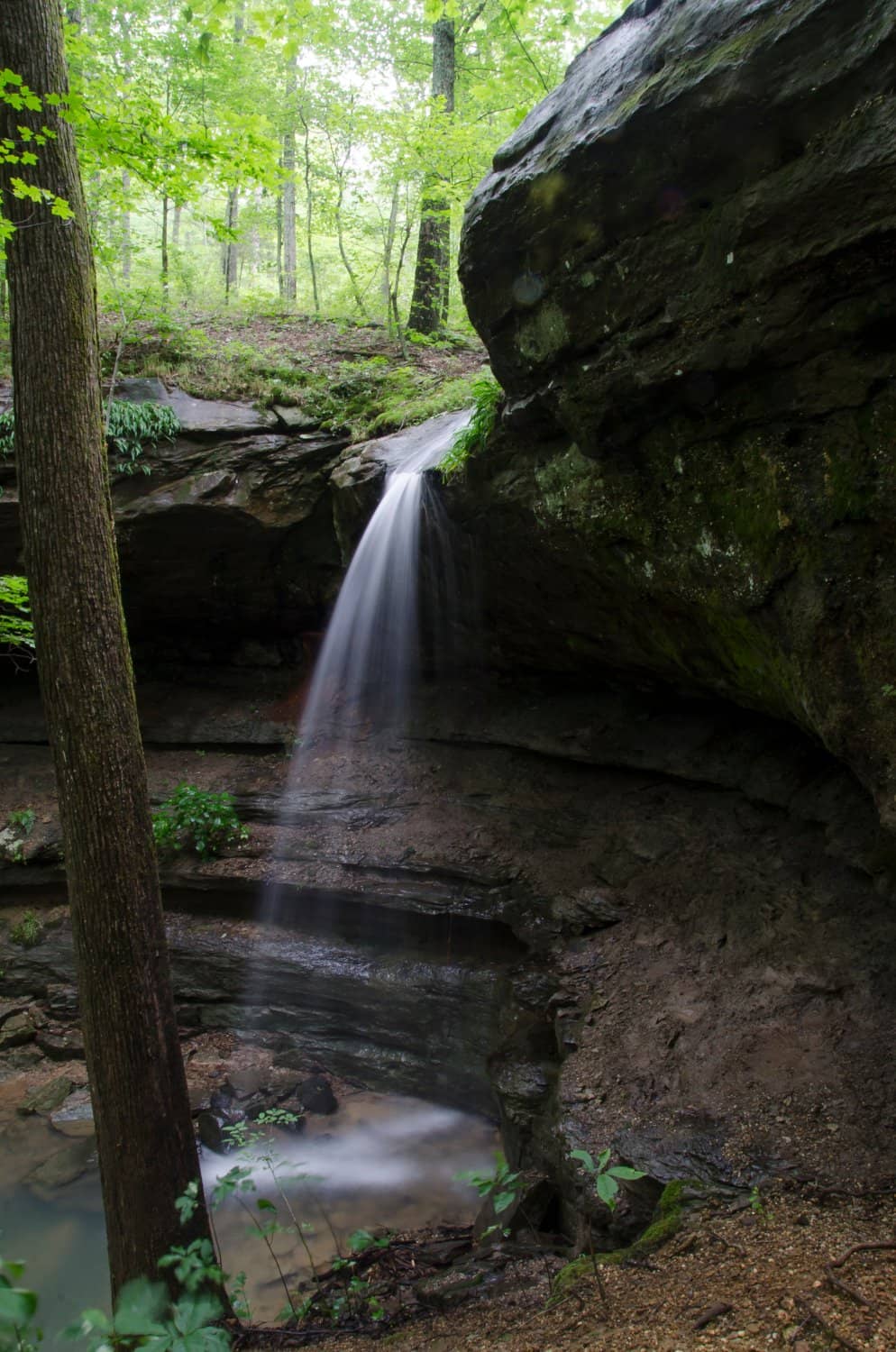 Waterfall Loop Trail