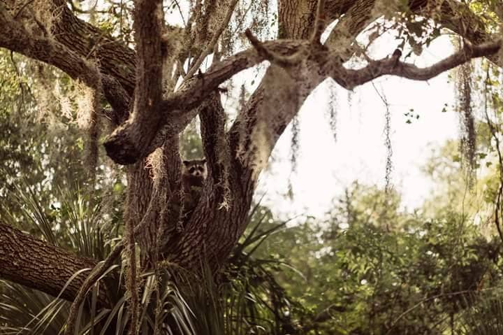 Narrows Nature Center