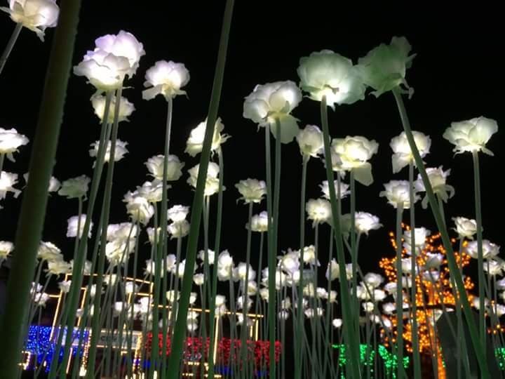 one of the attractions, its garden view
