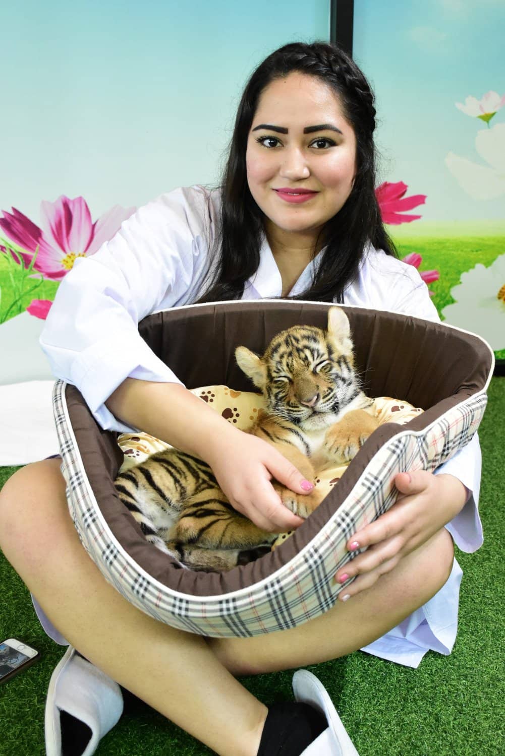 White Tiger Encounter