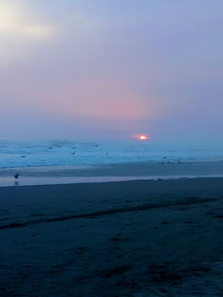 Playa Molina Punta