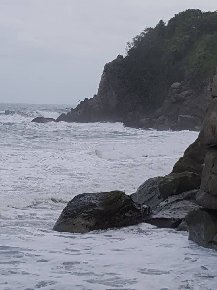 Panoramic Ocean Vista