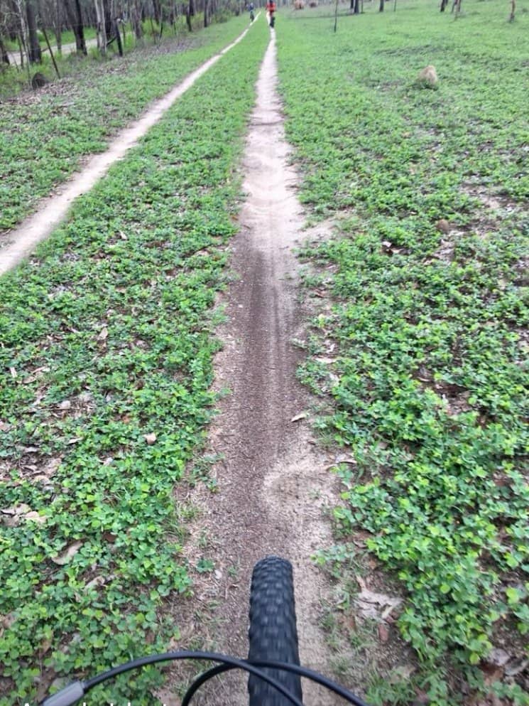 Family-Friendly Riding