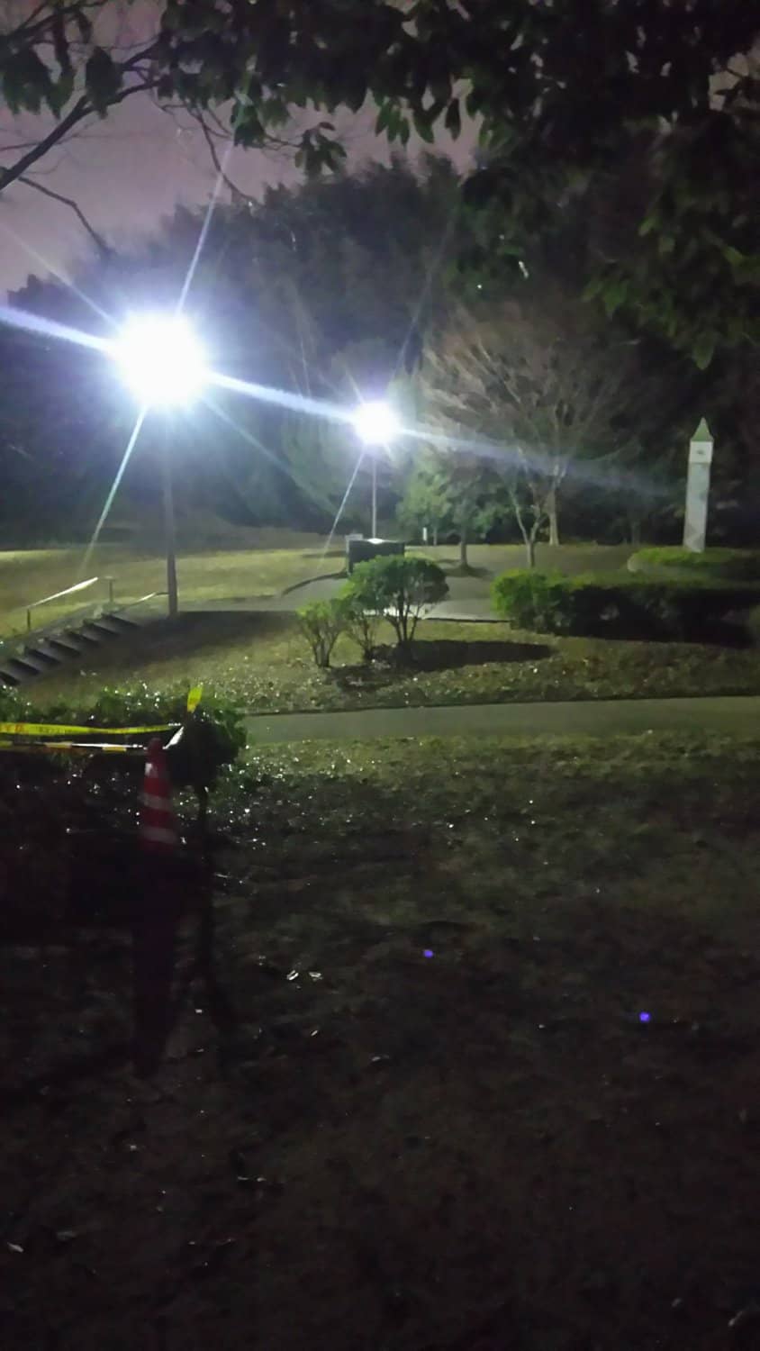 1OOORE SCENES Art Installation