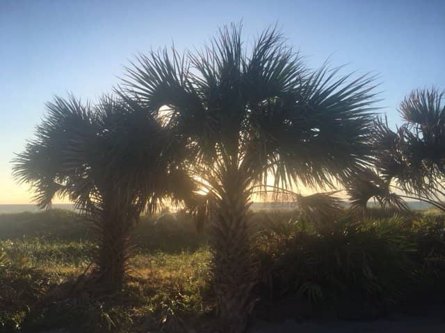 Direct Beach Access