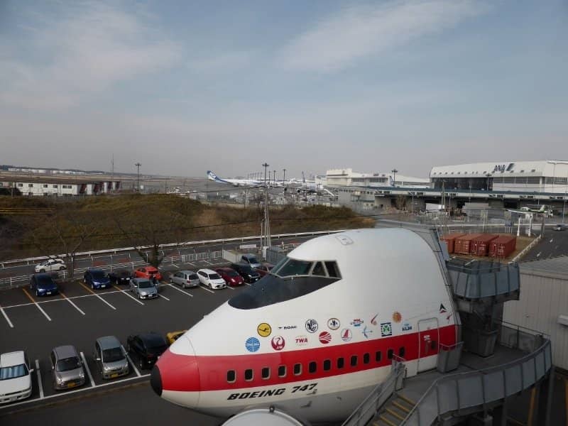 Rooftop Observation Deck