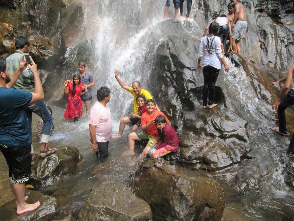 Nature's Fish Spa