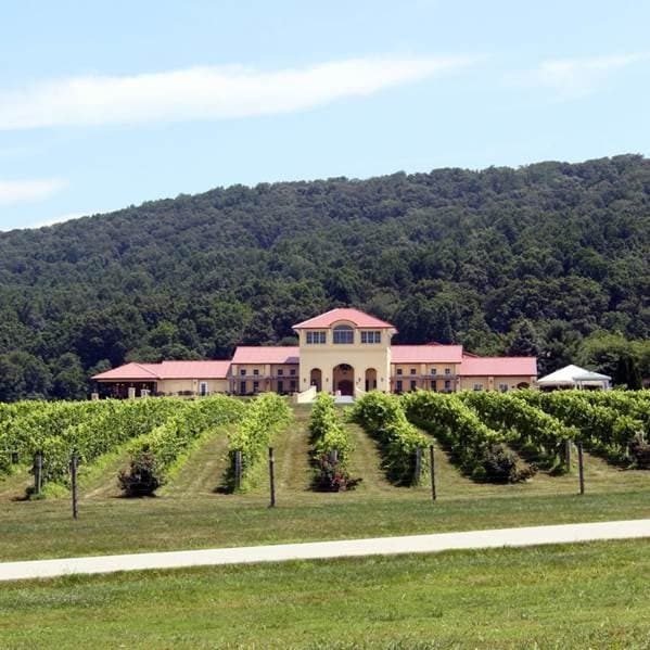 Our tasting room rests in the center of the vineyards