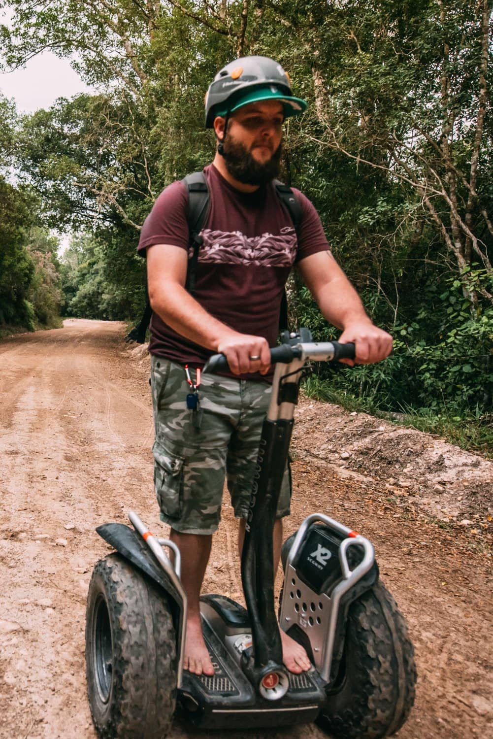 Guided Forest Exploration