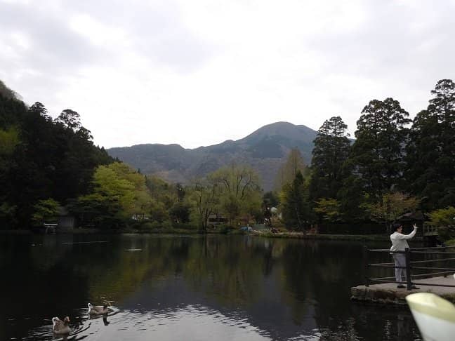 Picturesque Lakeside Stroll