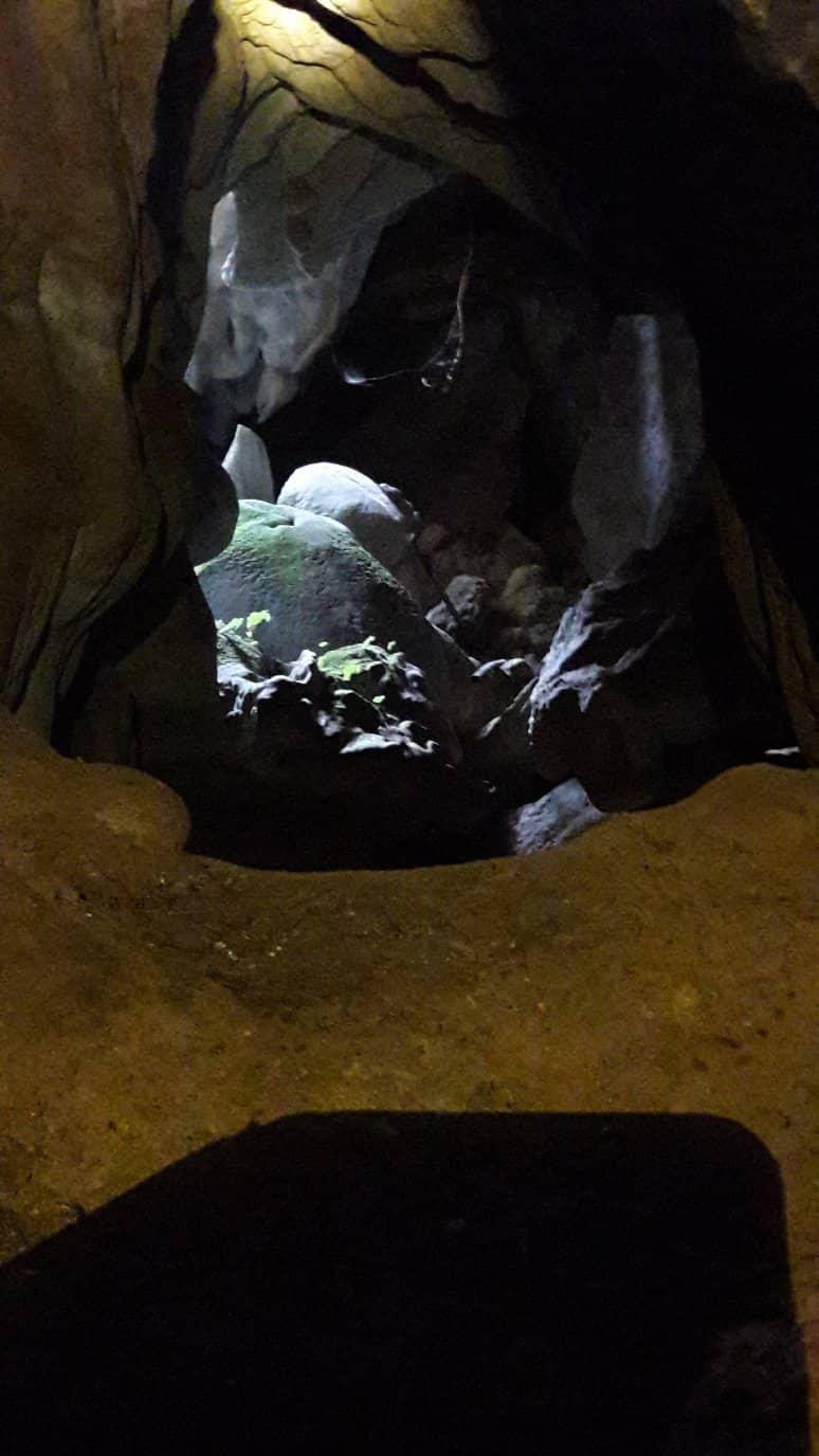 Scramble and Ladder Climb