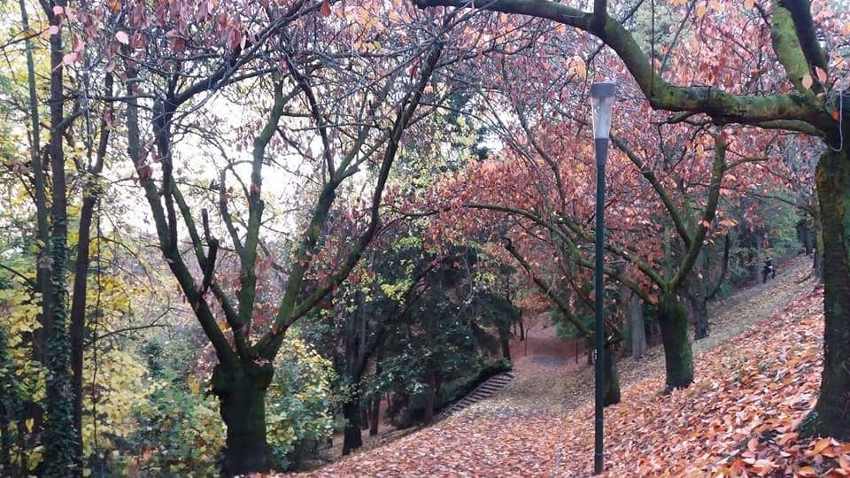 Semi-Natural Landscape