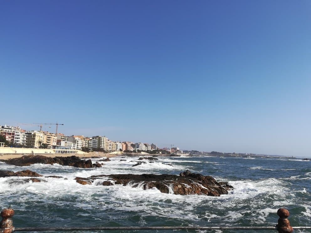 SunnyDay with friends (april 5th 2018)