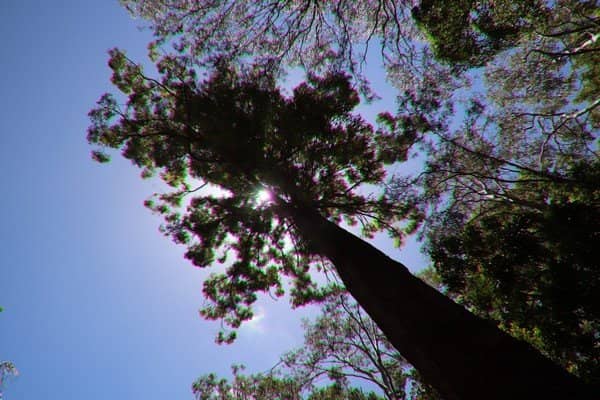 Vertical photo