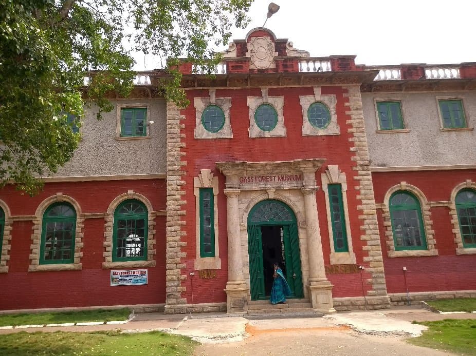 Gass Forest Museum