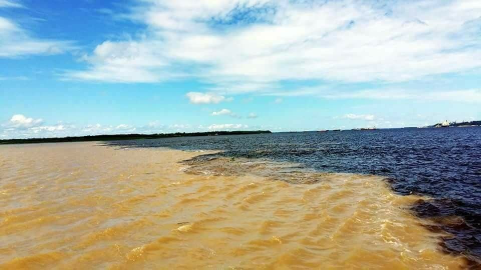 Encontro das Águas muito lindo
Manaus Amazonas