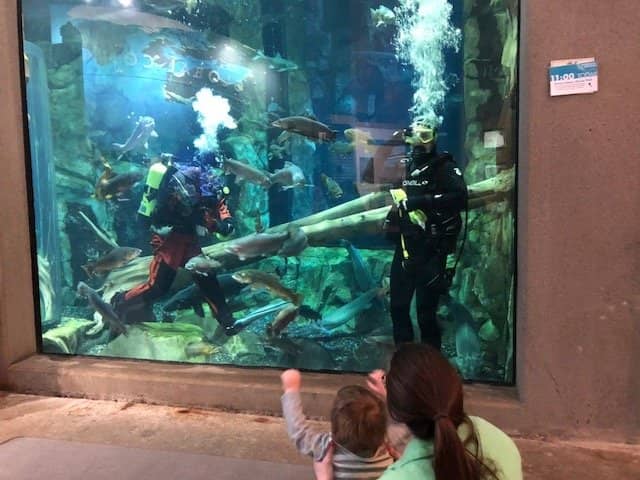 Underwater Otter Tunnel