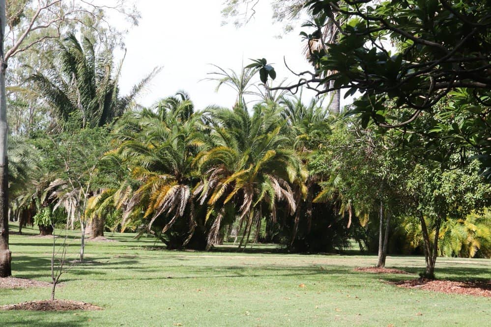 Manicured Lawns and Gardens