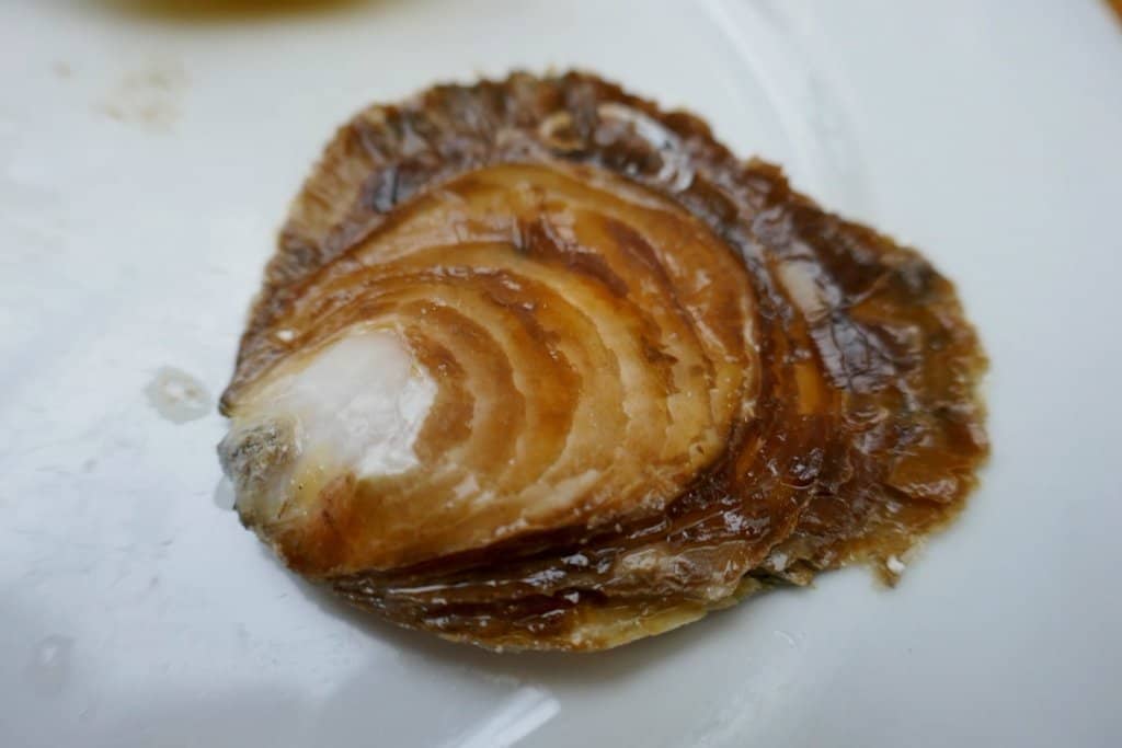 The Freshest Oysters