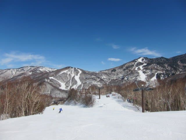 スキー場の様子