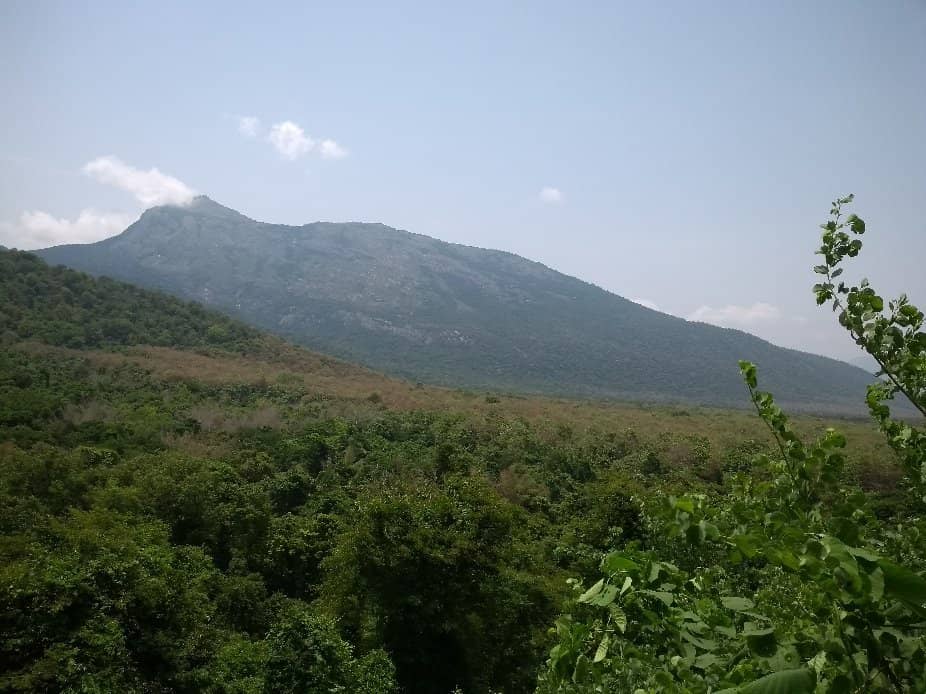 Panoramic Viewpoint