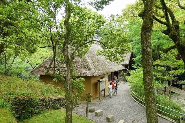 Wasanbon Sugar Extraction