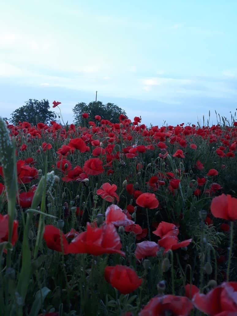 Baia del Mulino d'Acqua