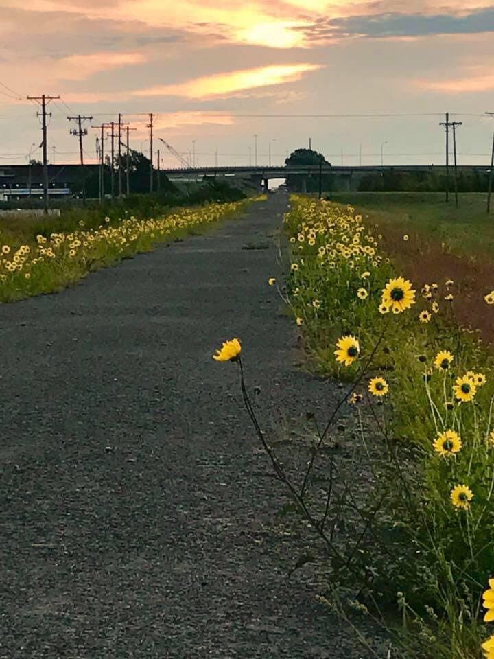 Looking east towards Tyler road Wichita, Ks