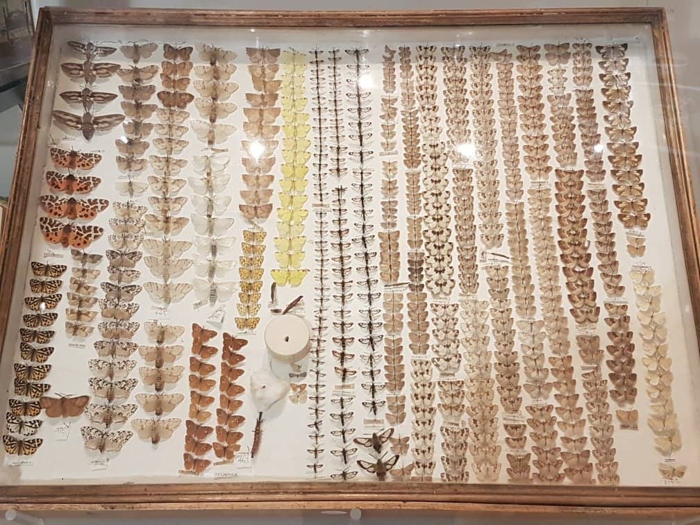 Local History & Sea Exhibits