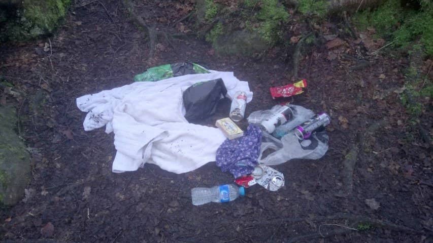 Harden Beck Woodland Walk