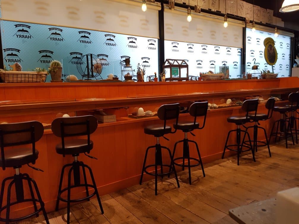 Experience the HARRY Cafe