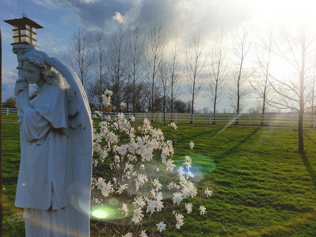 Panoramic City Views