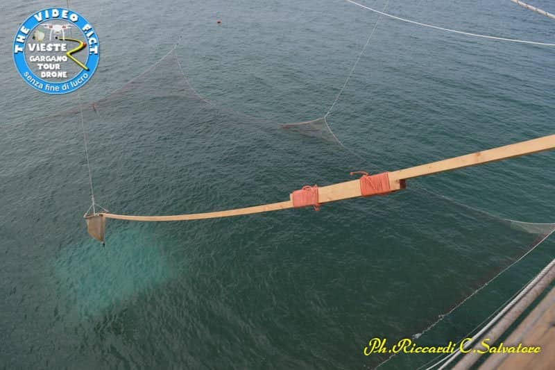 Fishing Demonstrations