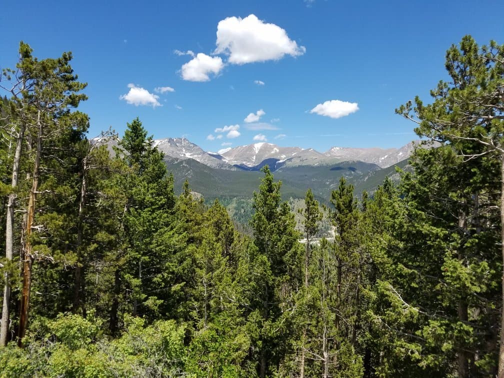 View from Many Parks Curve RMNP