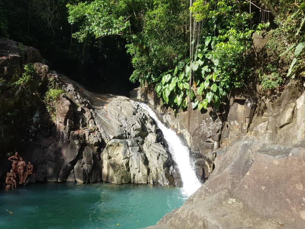 Jungle Trail Experience