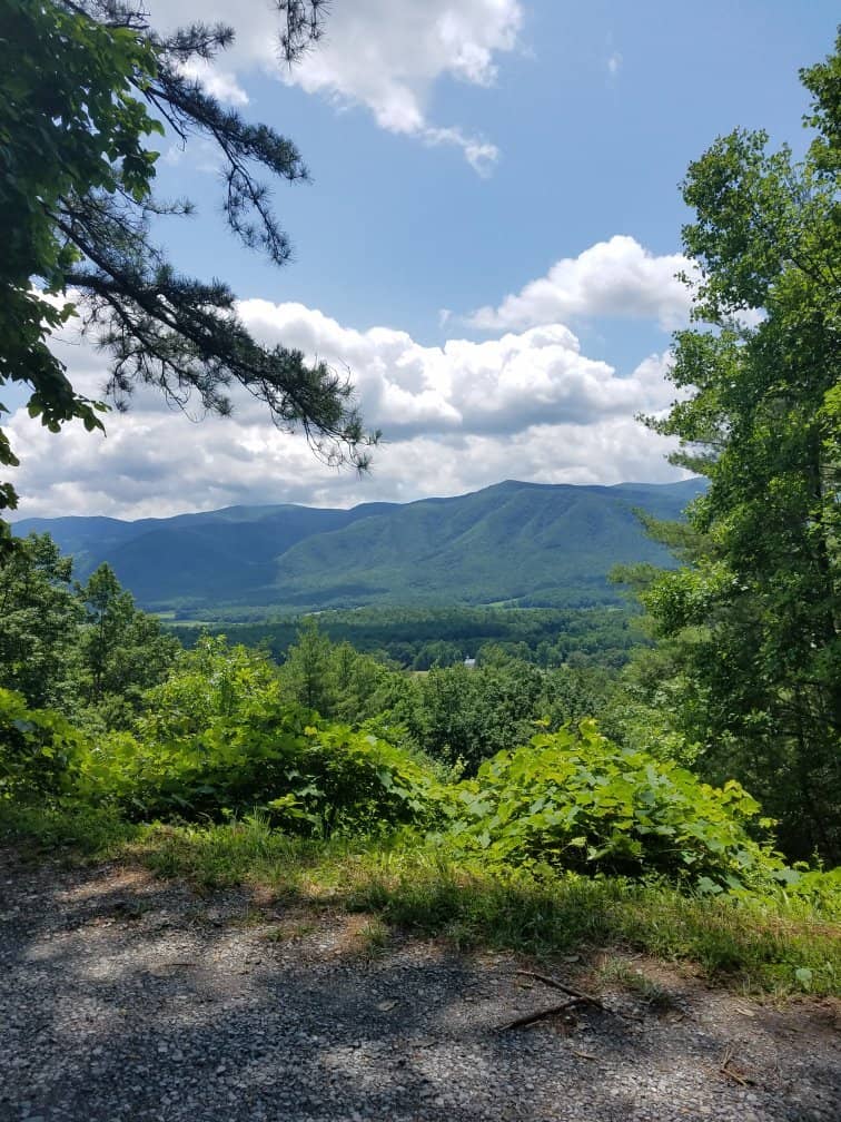 Scenic Wildlife Drive